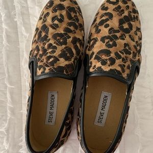 PRICED TO SELL Gently used! Cheetah - Steve Madden